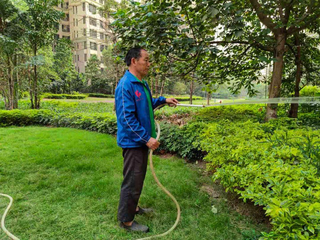 菲律宾网赌合法平台工人正在浇水